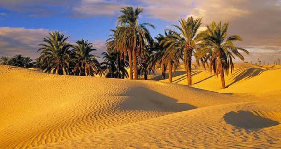 Fayoum City: Egypt's Ancient Oasis and Natural Wonders