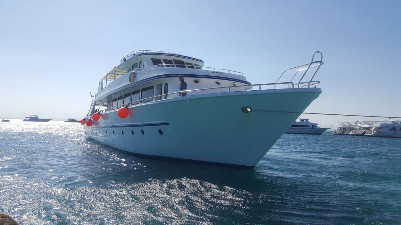 Certified Divers Day Boat Trip to Ras Mohammed National Park