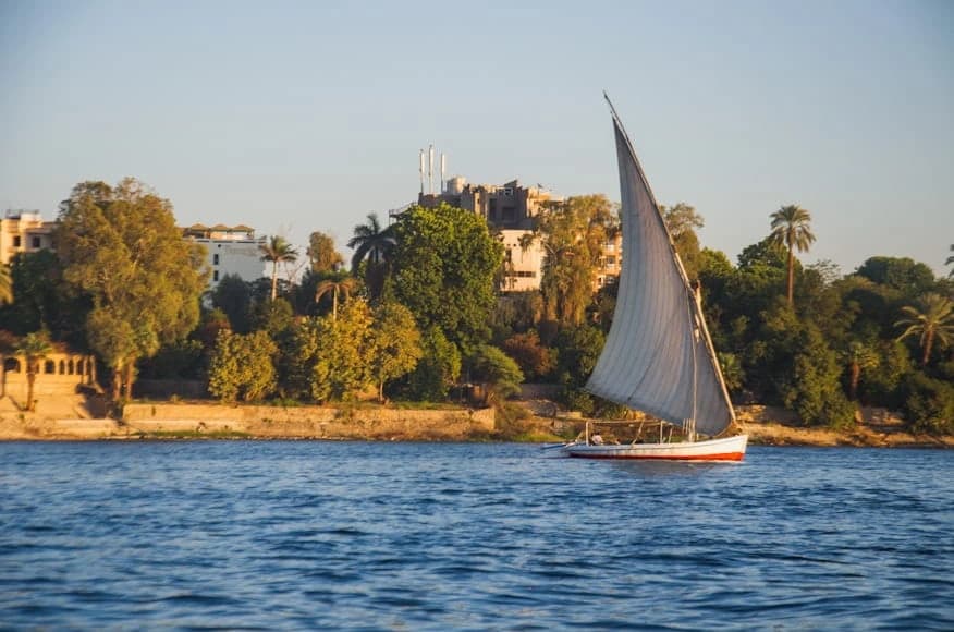 Felucca sailing