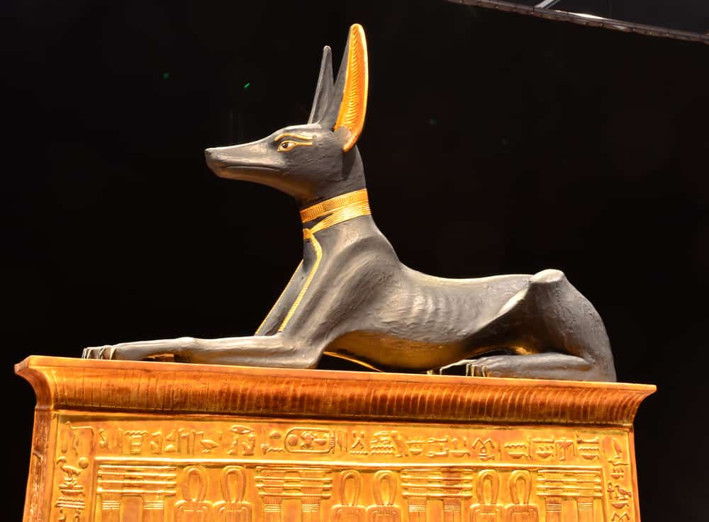 Sacred Animals in Ancient Egypt: Meanings & Symbols