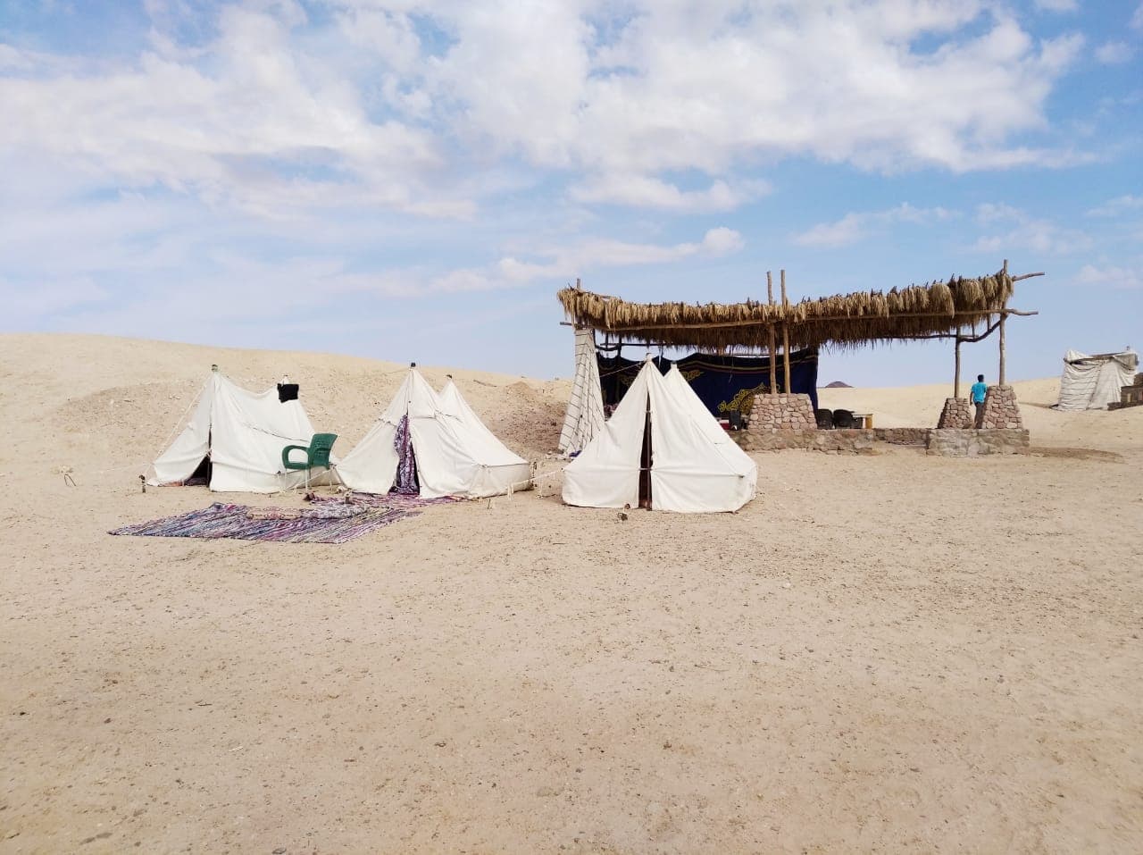 Overnight Camping Trip in Ras Mohammed National Park