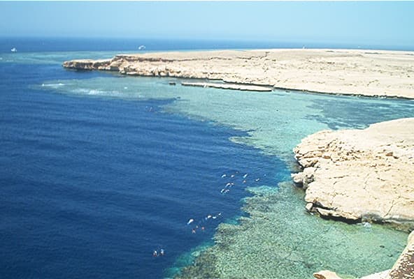 Ras Mohamed National Park Bus Tour from Sharm El Sheikh