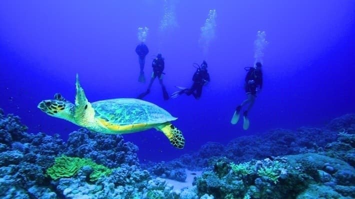 Red Sea Diving Adventure from Safaga Port to Hurghada
