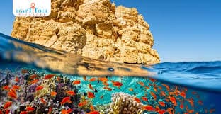 Full Day Trip to Ras Mohamed National Park by Boat