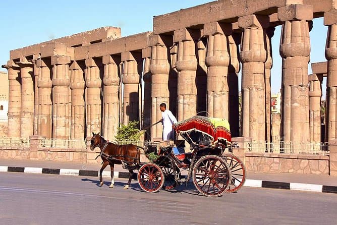 Luxor City Tour by Horse Carriage
